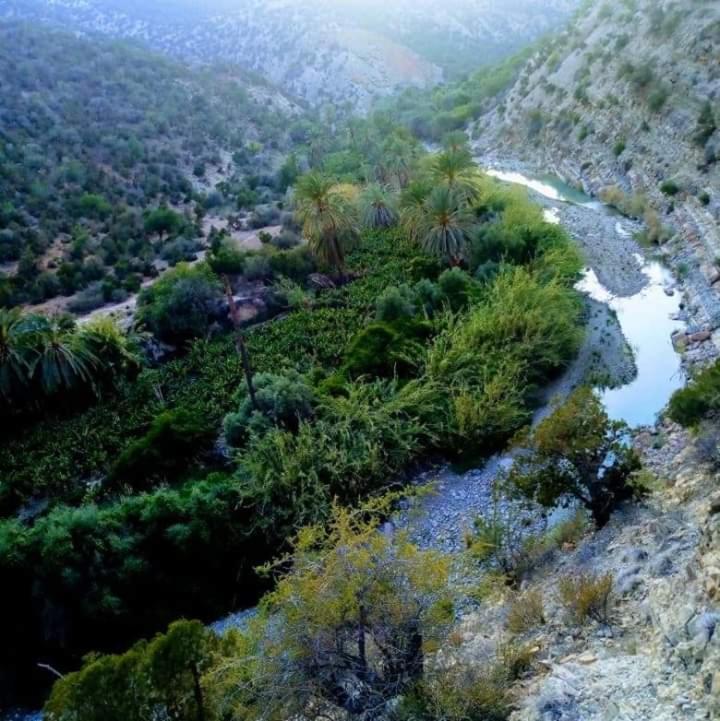 דירות Tamrisurfcamp מראה חיצוני תמונה